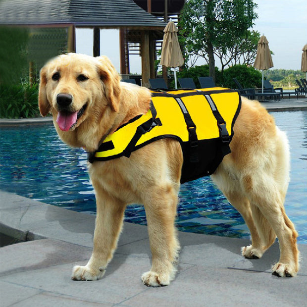 Pet Dog Swimwear, Dog Life Jackets, Pet Life Jackets